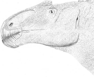 Anasazisaurus.jpg