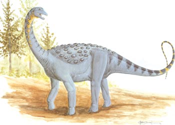 Saltasaurus.jpg