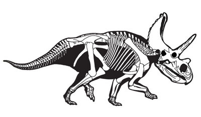 Agujaceratops.jpg
