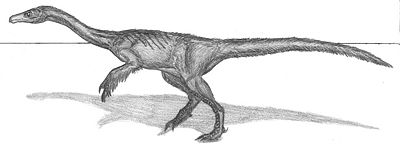 Erliansaurus.jpg