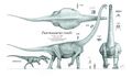 Puertasaurus reuili by paleo king.jpg