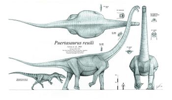 Puertasaurus reuili by paleo king.jpg