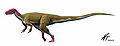 Camarillasaurus NT.jpg