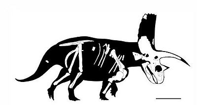 Titanoceratops.jpg