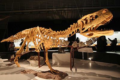 Aucasaurus.jpg