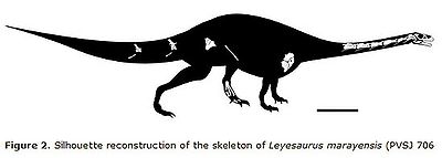 Leyesaurus.jpg
