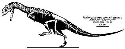 Majungasaurus.jpg