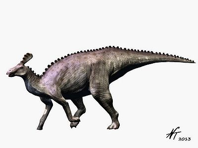 Tsintaosaurus2 NT.jpg