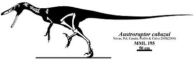 Austroraptor2.jpg