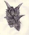 Xenoceratops head.jpg