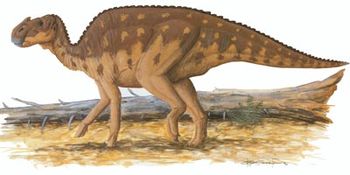 Aralosaurus.jpg