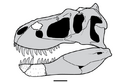 Nanuqsaurus2.png