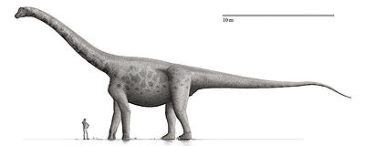 Bruhathkayosaurus.jpg