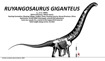 Ruyangosaurus skeletal by Gunnar Bivens.png
