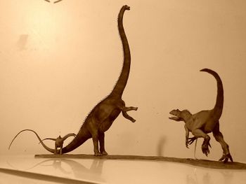 Barosaurus vs allosaurus 1 40 by galileon.jpg