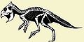 Ceratopsia bazalne.jpg