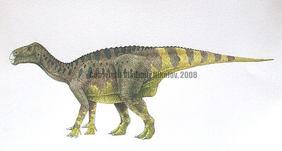 Iguanodon bernissartensis by T PEKC.jpg