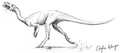 Masiakasaurus Edyta Felcyn.PNG