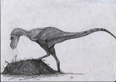 Gorgosaurus palaeontological miscellanea by andreacau-d4dezo6.jpg