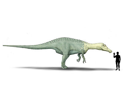 Siamosaurus.jpg