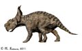 Pachyrhinosaurus canadensis NT.jpg