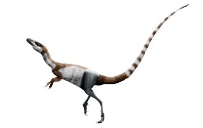 Sinosauropteryx by pwnz3r dragon.png