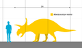 Albertaceratops Scale.svg.png