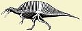 Spinosauridae.jpg