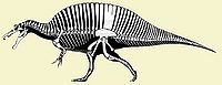 Spinosauridae.jpg