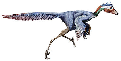 Jinfengopteryx1.jpg