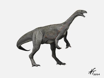 Asylosaurus NT.jpg