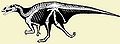 Iguanodontia bazalne.jpg