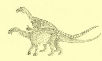 Antetonitrus Melanorosaurus by Kahless28.jpg