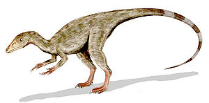 Rekonstrukcja przeżyciowa Compsognathus