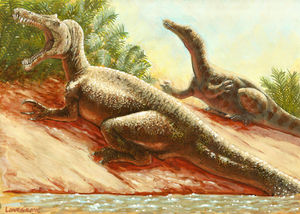 Znalezione obrazy dla zapytania Suchomimus