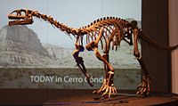 Leonerasaurus.jpg
