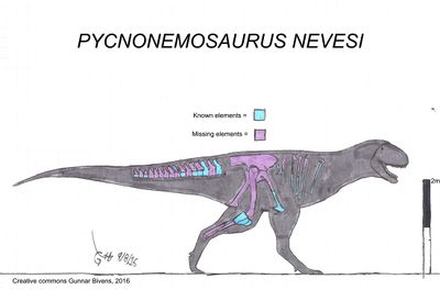 Pycnonemosaurus nevesi skeletal by bricksmashtv.jpg