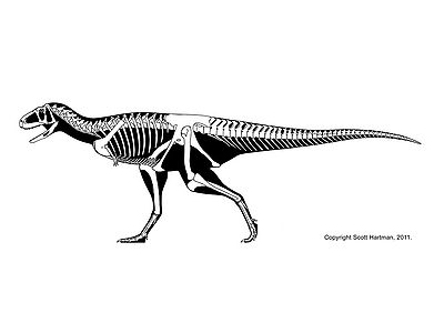 Aucasaurus Scott Hartman.jpg