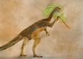 Chilesaurus diegosuarezi by traheripteryx.png