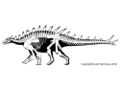 Huayangosaurus by Scott Hartman.jpg