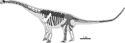 Phuwiangosaurus.jpg