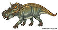 Pachyrhinosaurus by mmfrankford.jpg