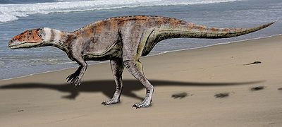 Dubreuillosaurus Nobu Tamura.jpg