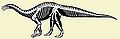Sauropoda bazalne.jpg