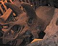 Triceratops horridus FMNH P12003 fot. Sandra Leong.jpg