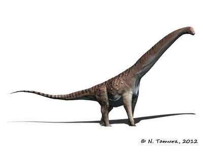 Mendozasaurus NT.jpg