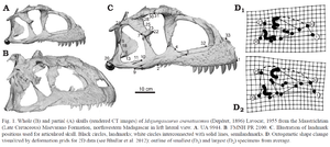 Majungasaurus ontog. Ratsimbaholison et al. 2016.1.PNG