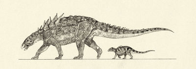 Liaoningosaurus.jpg