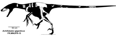 Achillobator.jpg
