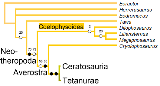 Hendrickx i in. 2016 spinosaurine quadrate therop.PNG